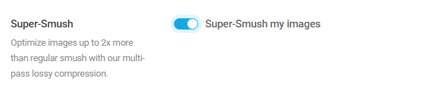 Screenshot of the super-smush button.