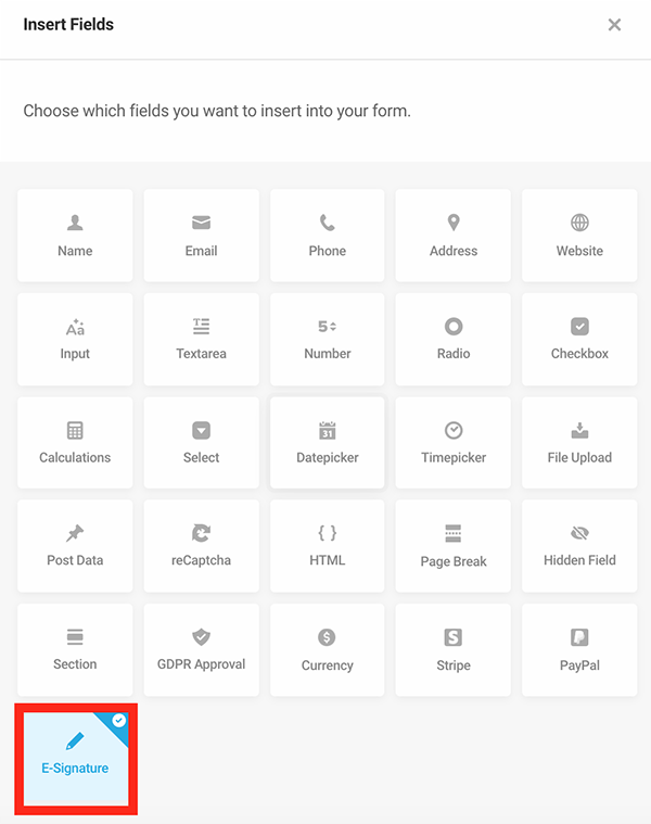 The eSignature field.