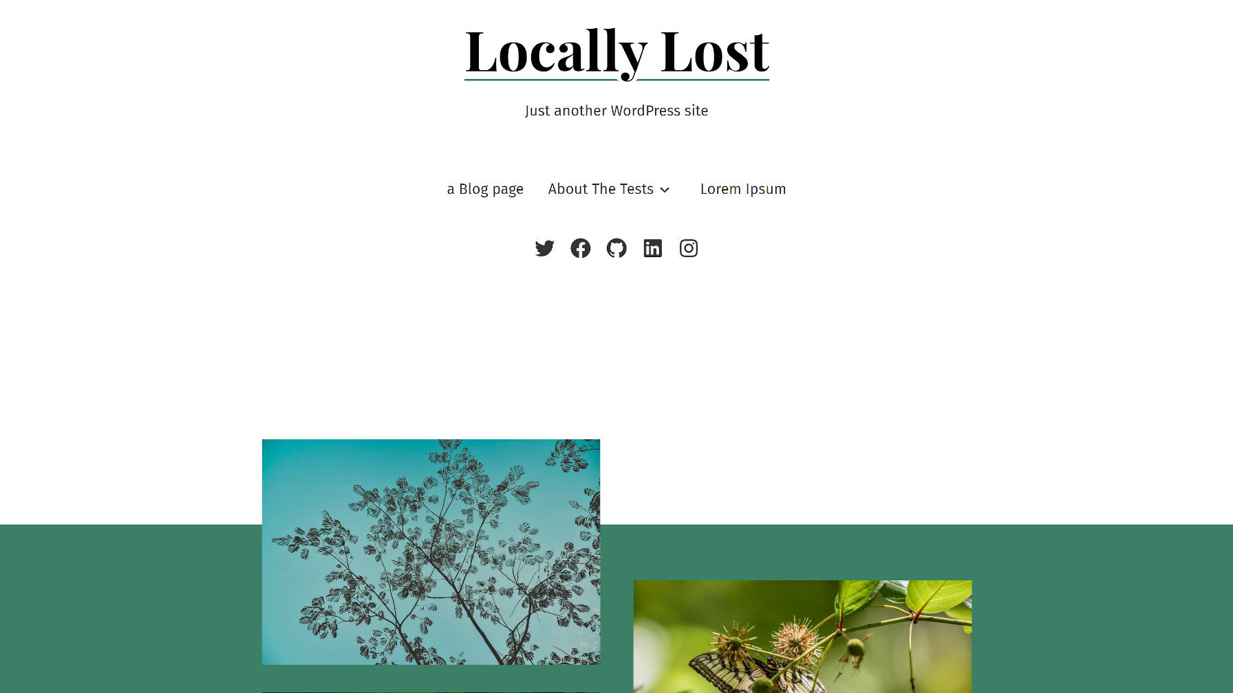 Homepage view of the Seedlet WordPress theme.