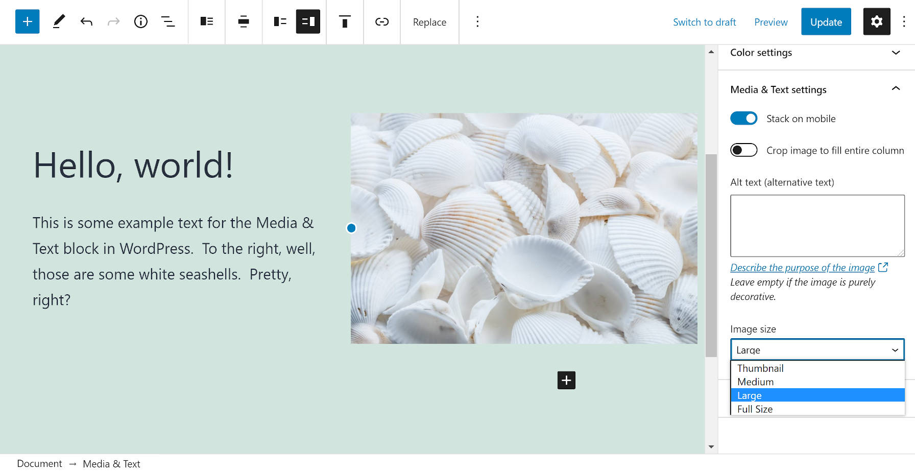 Media & Text block in the WordPress editor.