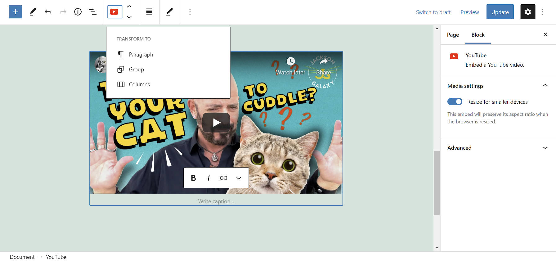 Block switcher icon in the WordPress editor that shows a variation's icon.