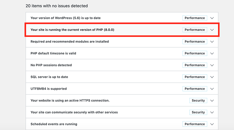 What version of PHP a WordPress is running.