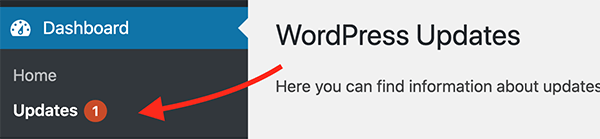 Where the WordPress updates are in the admin.