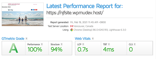 GTmetrix score of 99.