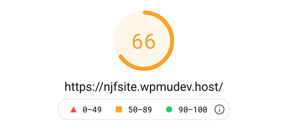 Google PageSpeed Insights score of 66.