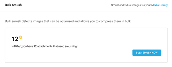 The bulk smush button.