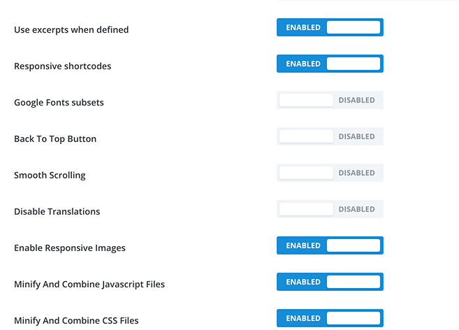 Where you make divi optimization tweaks.