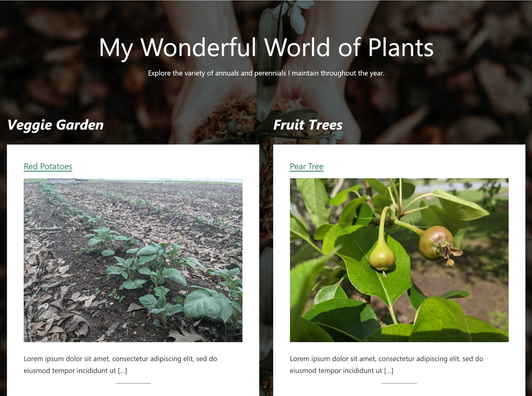 A cover block with background image behind a two-columned posts list.