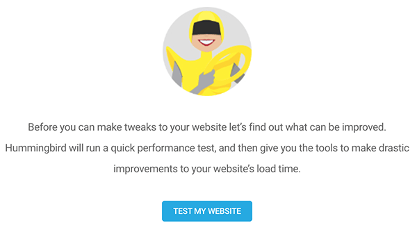 The test my website button.