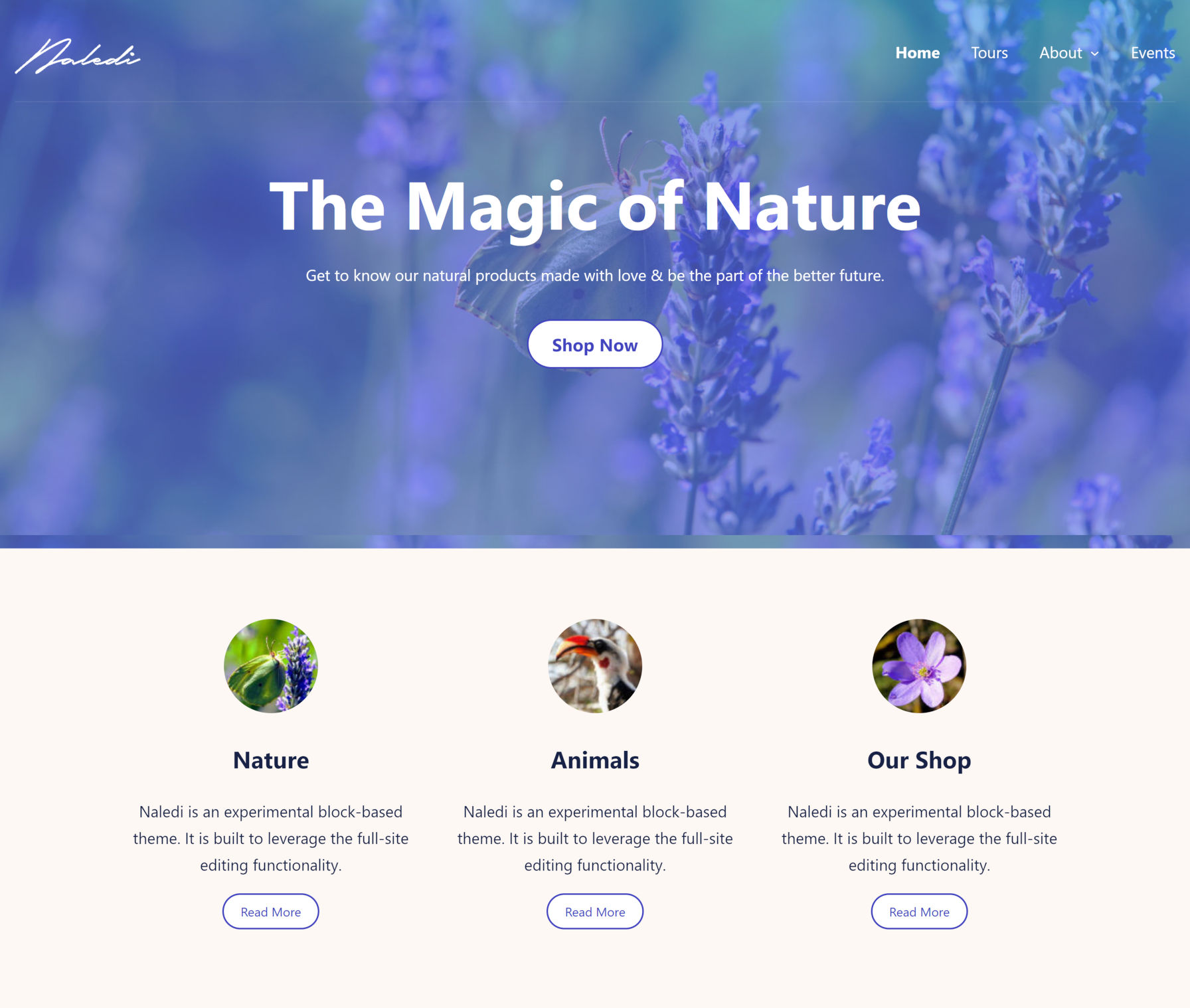 Screenshot of the Naledi theme homepage with a large Cover header and three info boxes below.