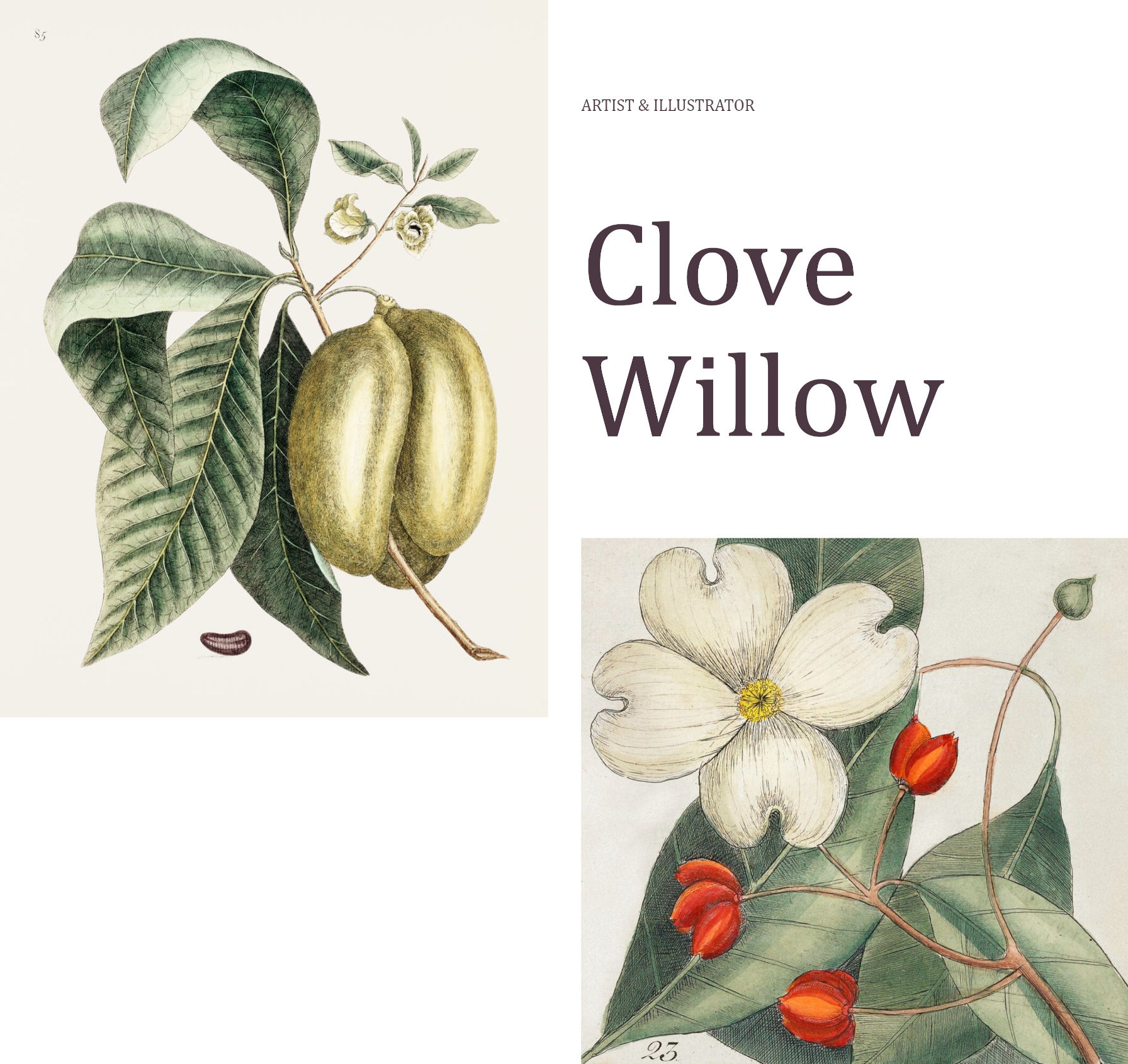 Page intro section with uneven columns and two nature-based images.