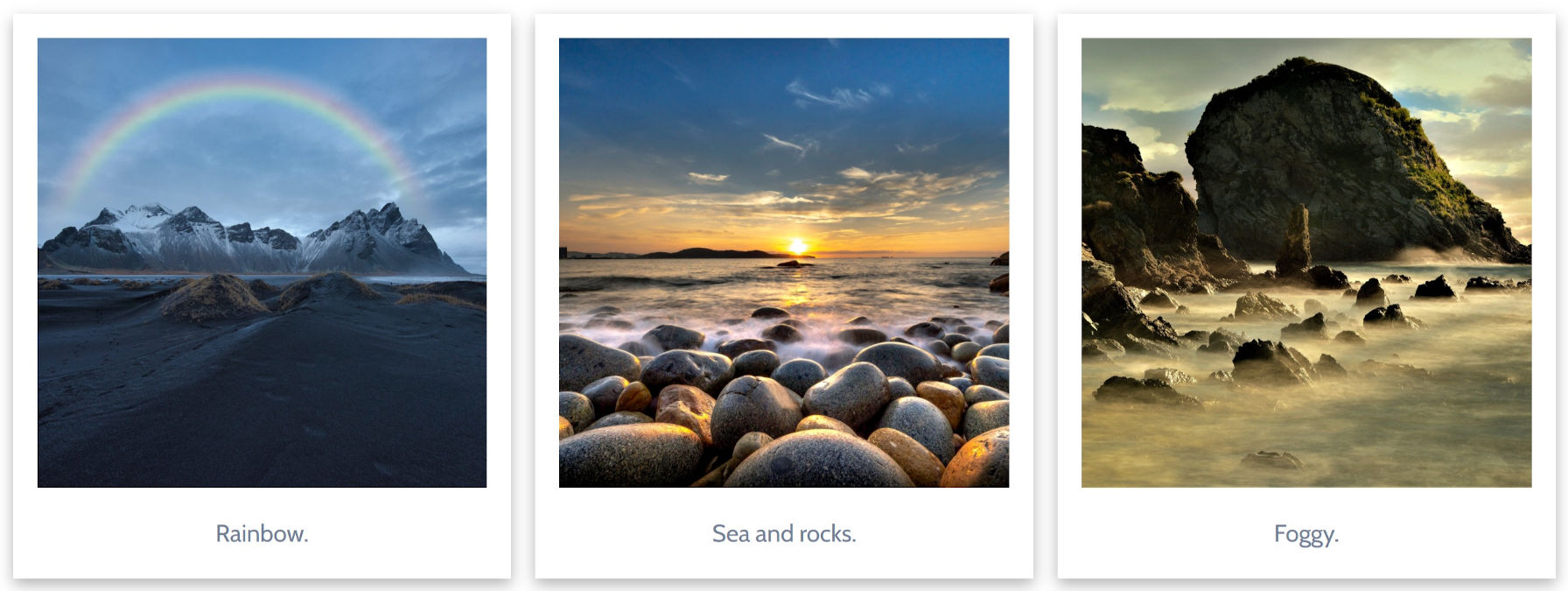 Gallery of images with a polaroid-style frame.