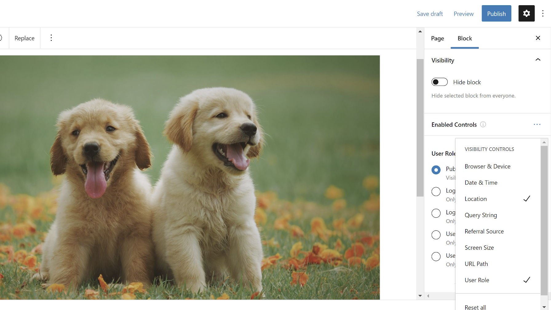 Popup display options panel for controlling with Block Visibility controls are available.