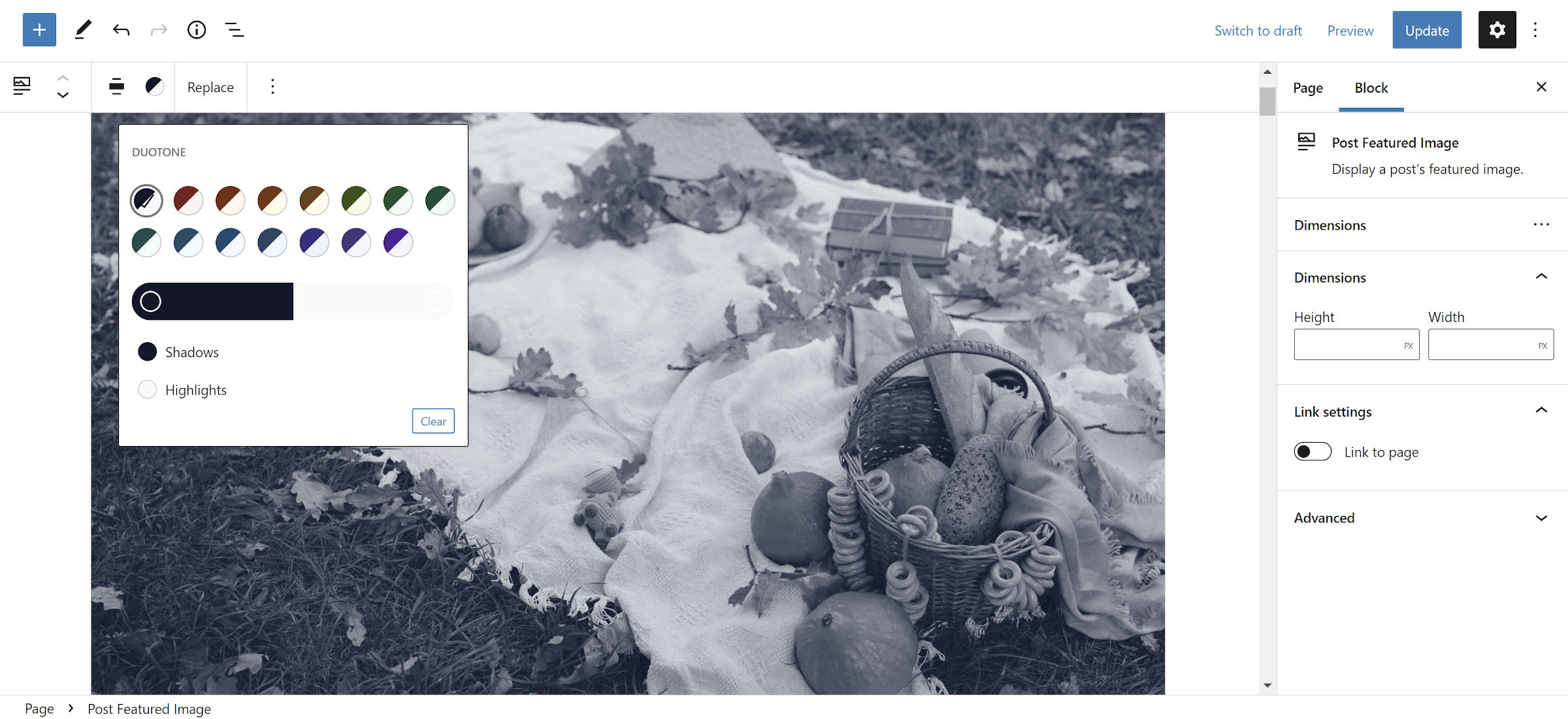 Post Featured Image block shown in the WordPress editor with a custom duotone filter selected.