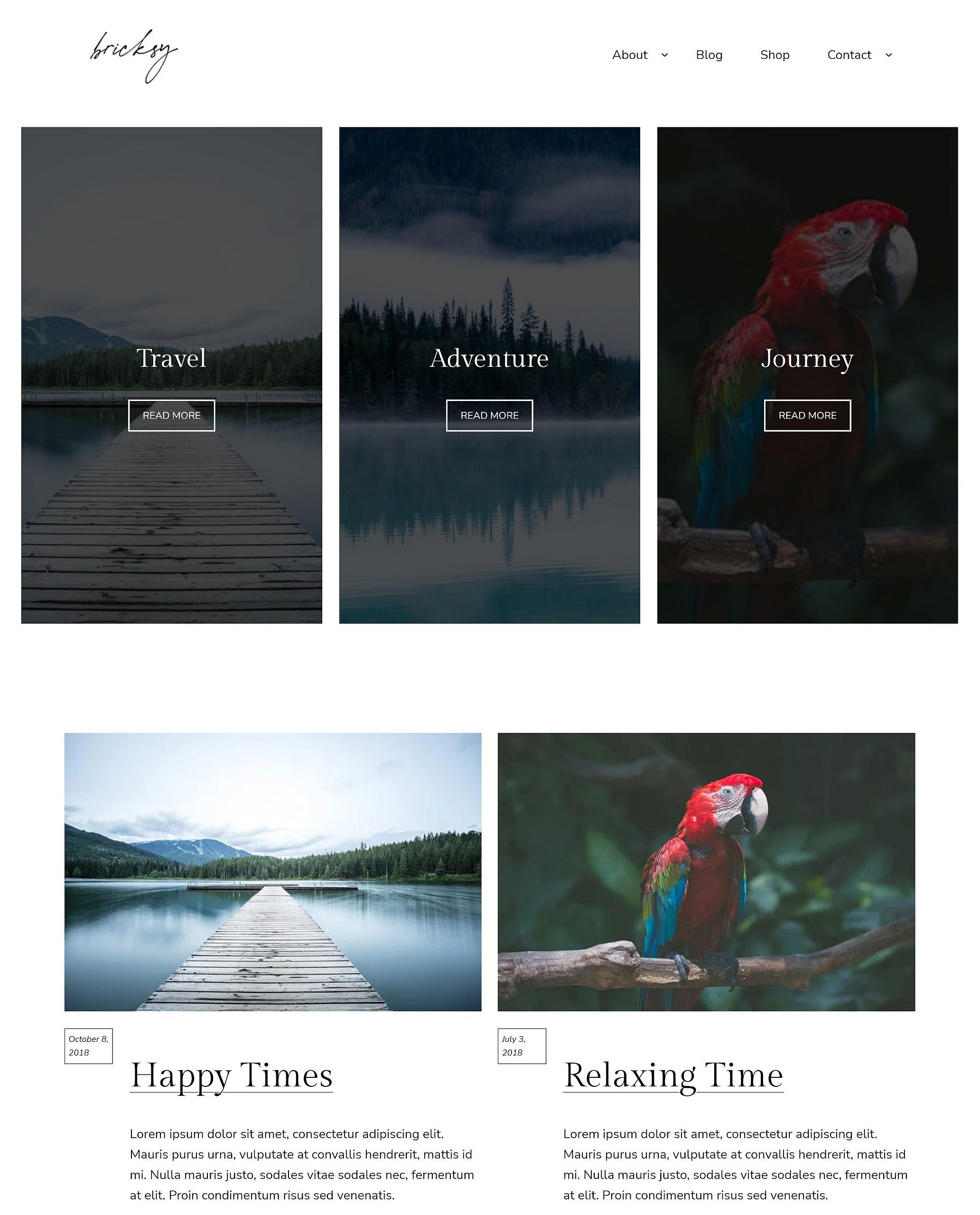 Bricksy WordPress theme home/blog page. Header shows logo and menu. It is followed by a three-column section of Cover blocks with background images that include a header and button. Following that is a two-column grid of posts.