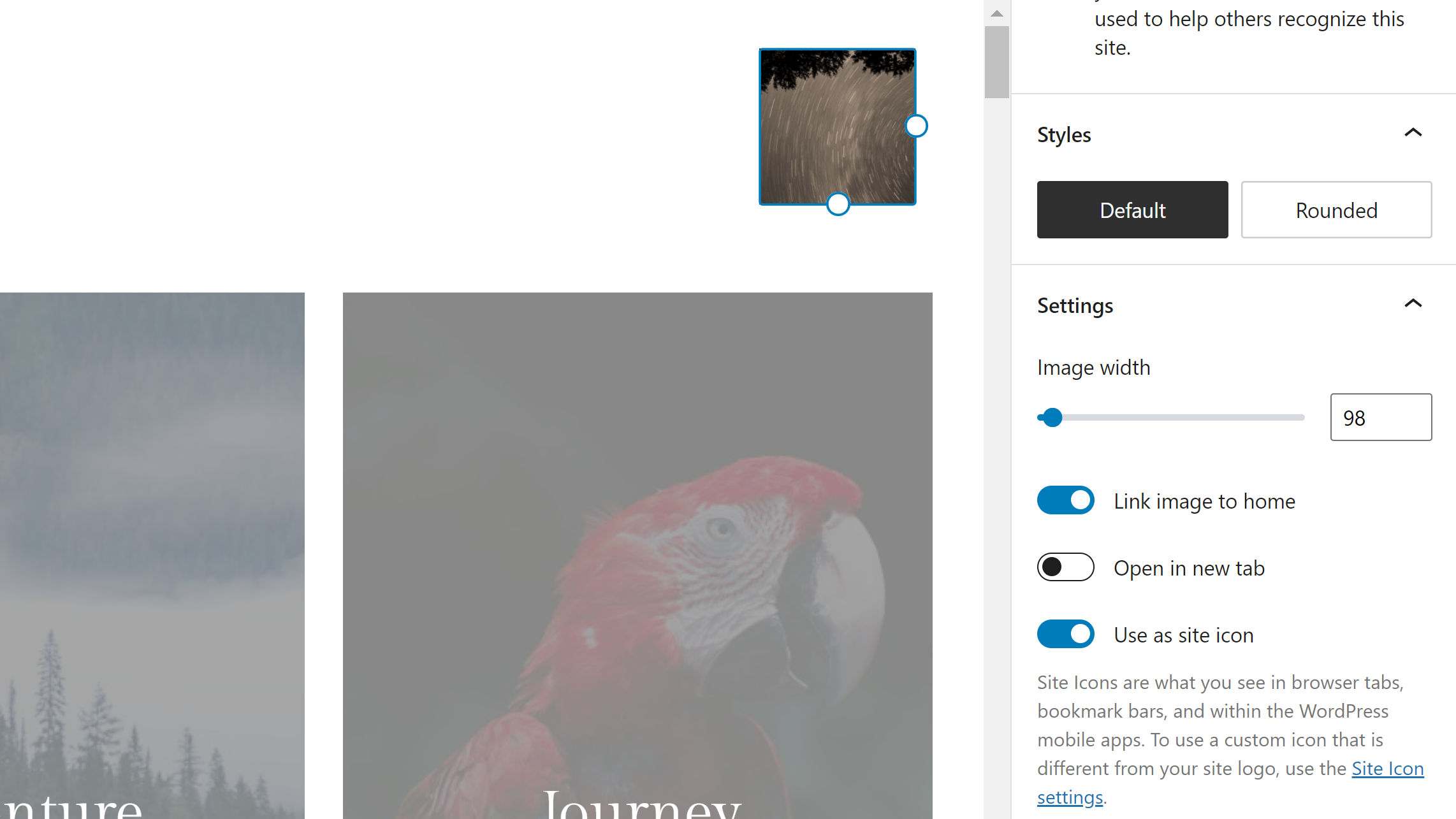 Site Logo block selected in the site editor. On the right, the Settings panel is open, showing an option for using the logo as a site icon.