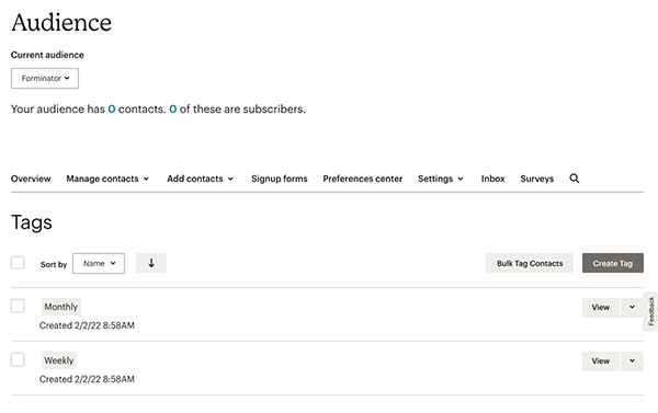 The audience in Mailchimp.