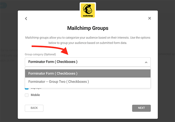 Mailchimp Groups section.