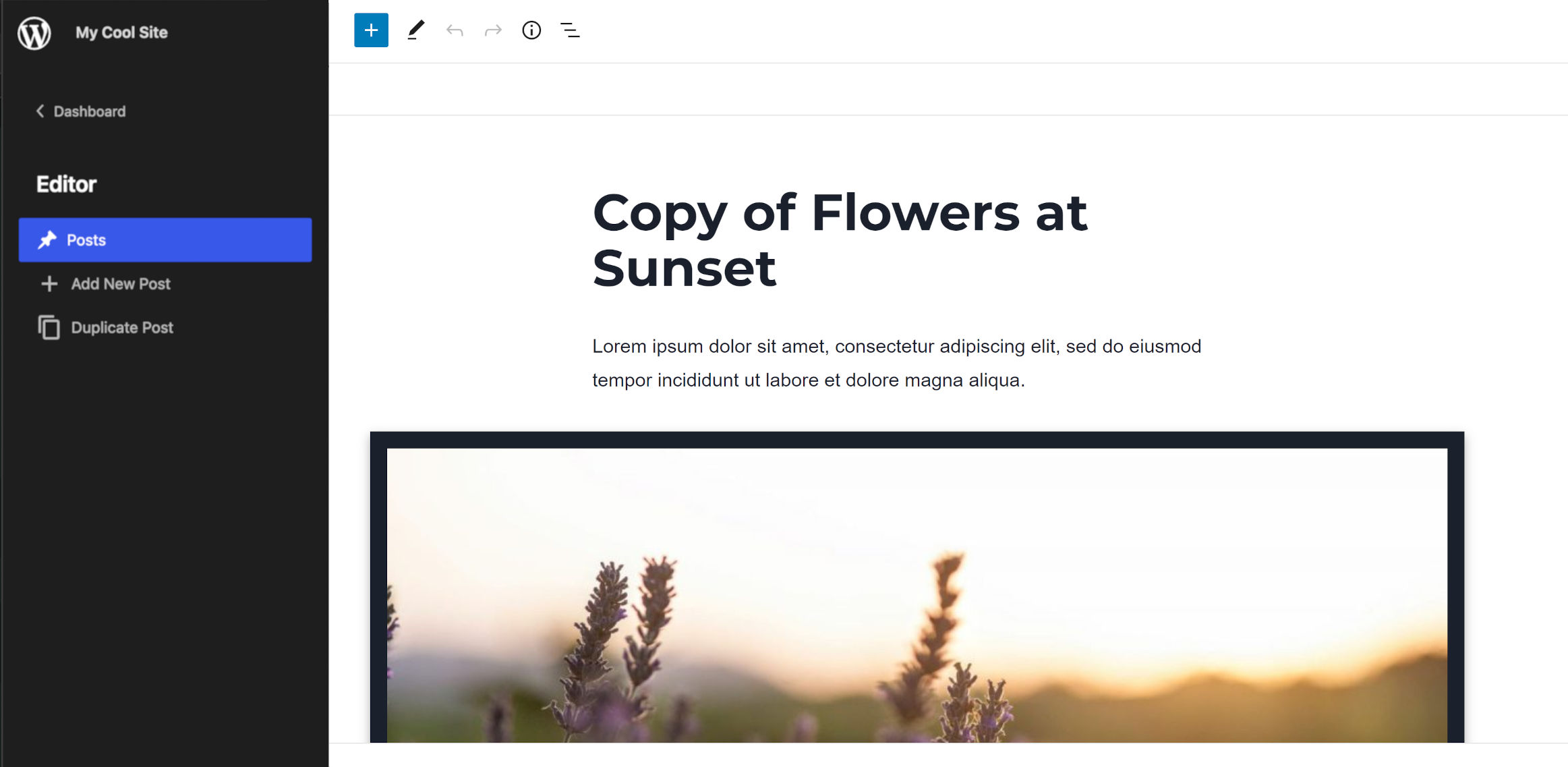 WordPress block editor with a sidebar navigation section open for accessing the Dashboard, Posts, Add New Post, and Duplicate Post screens.