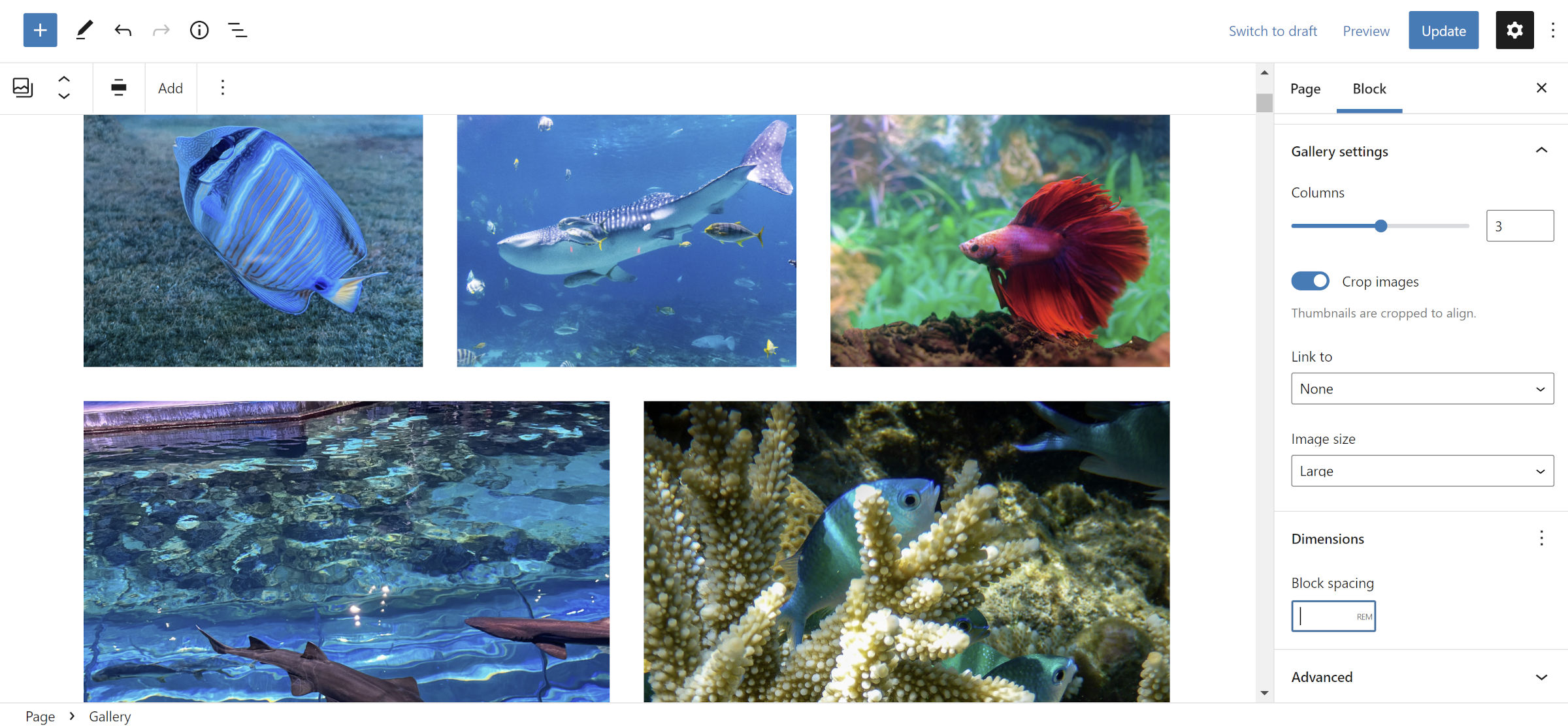 WordPress post editor with a five-group set of images in the Gallery block.