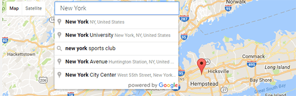WP Google Map