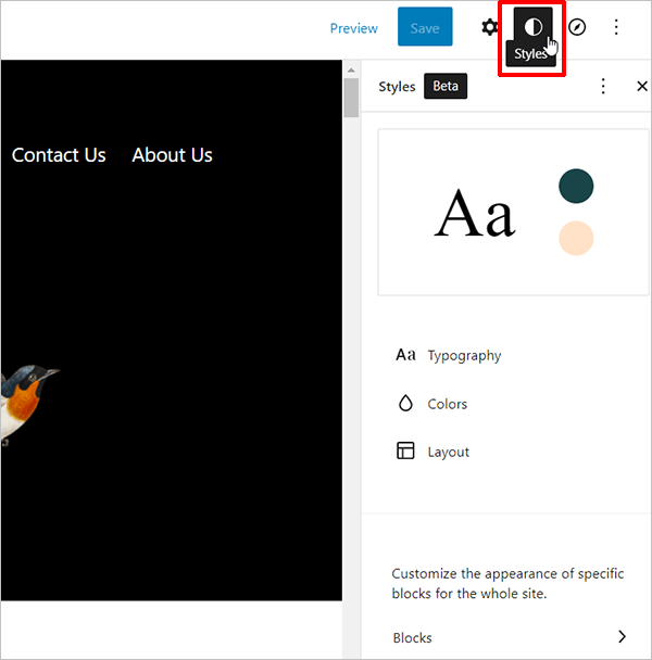 An open Styles sidebar with all styling options listed.