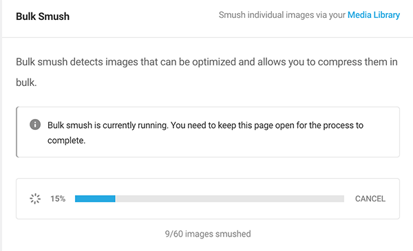 The bulk smush option.