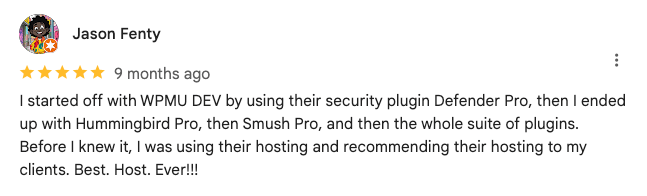 WPMU DEV client review