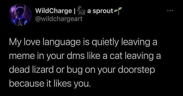 Screenshot of a meme that says: ‘My love language is quietly leaving a meme in your DMs like a cat leaving a dead lizard or bug on your doorstep because it likes you.