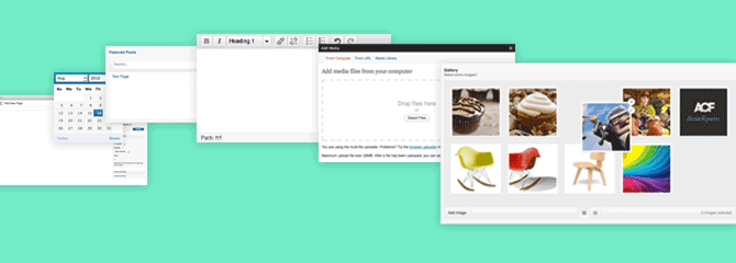 Advanced Custom Fields plugin