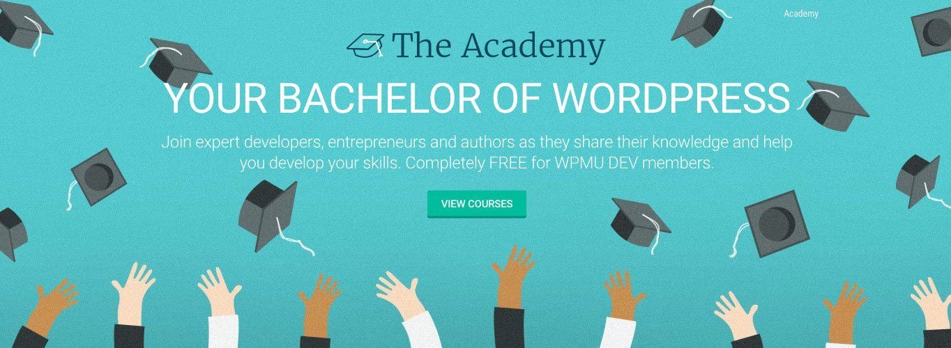 Join The Academy and sharpen your WordPress skills.