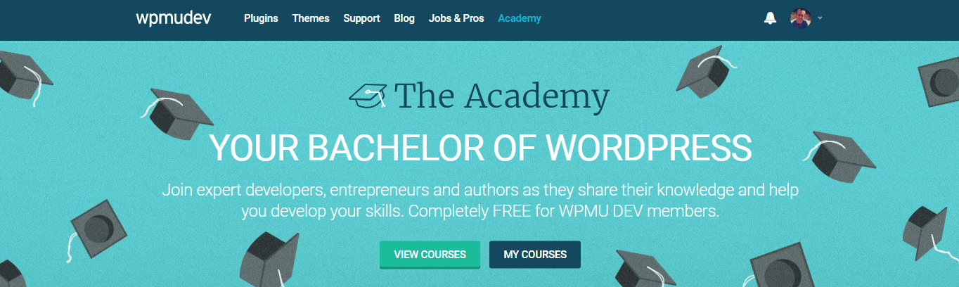 theacademy website screenshot