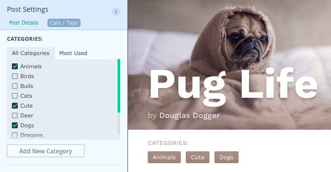 Add new categories to your posts and watch them appear in real-time!