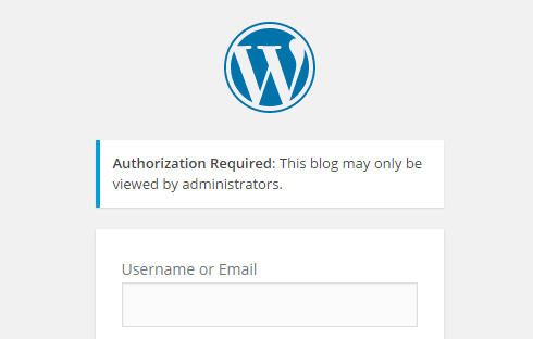 WordPress Login Screen displayed when accessing staging site when not logged in as admin
