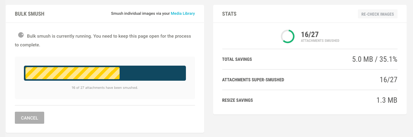 Bulk smush your images and save valuable space on your server, while at the same time ensuring your images are served up faster.