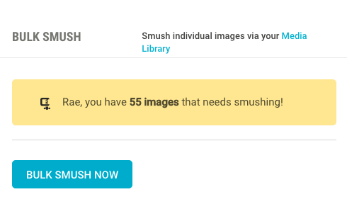 Smash the size of your images and bulk smush all of them in one go.