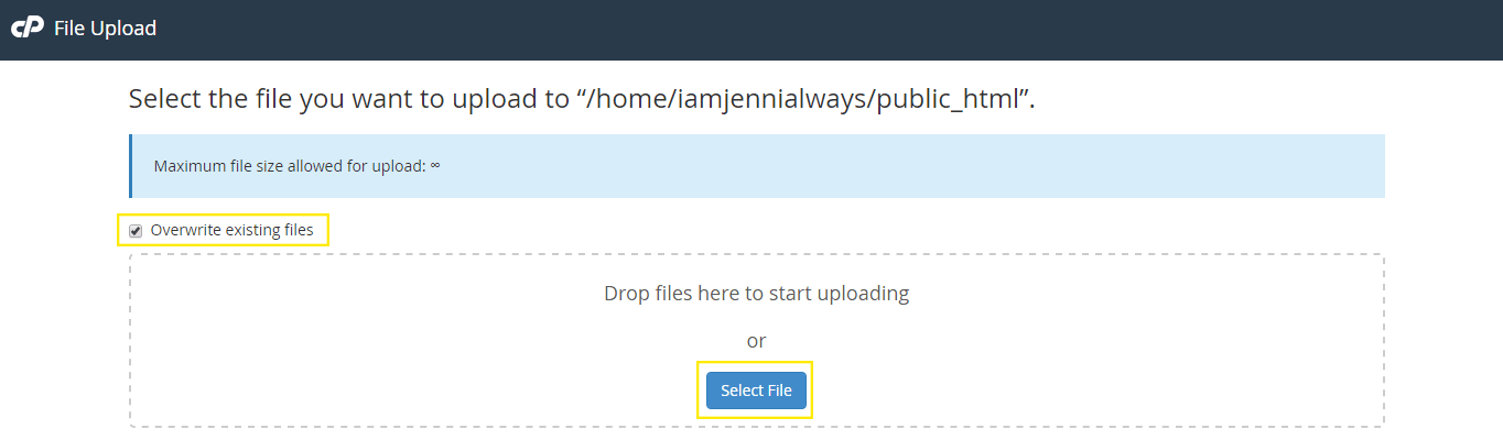 The file upload page.