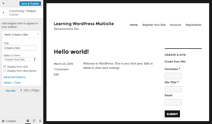 editing the form widget via the WordPress customizer