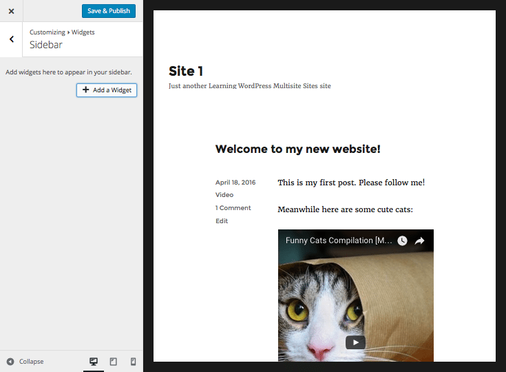 Adding a widget in the customiser