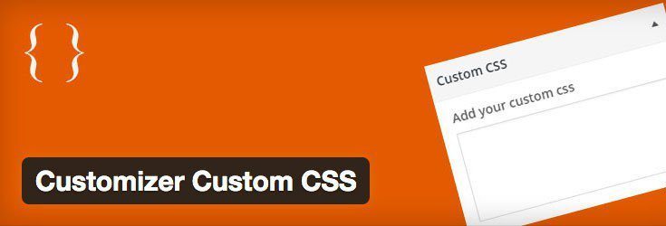 customizer-custom-css