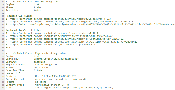 screenshot of debug info added to the end of an html document