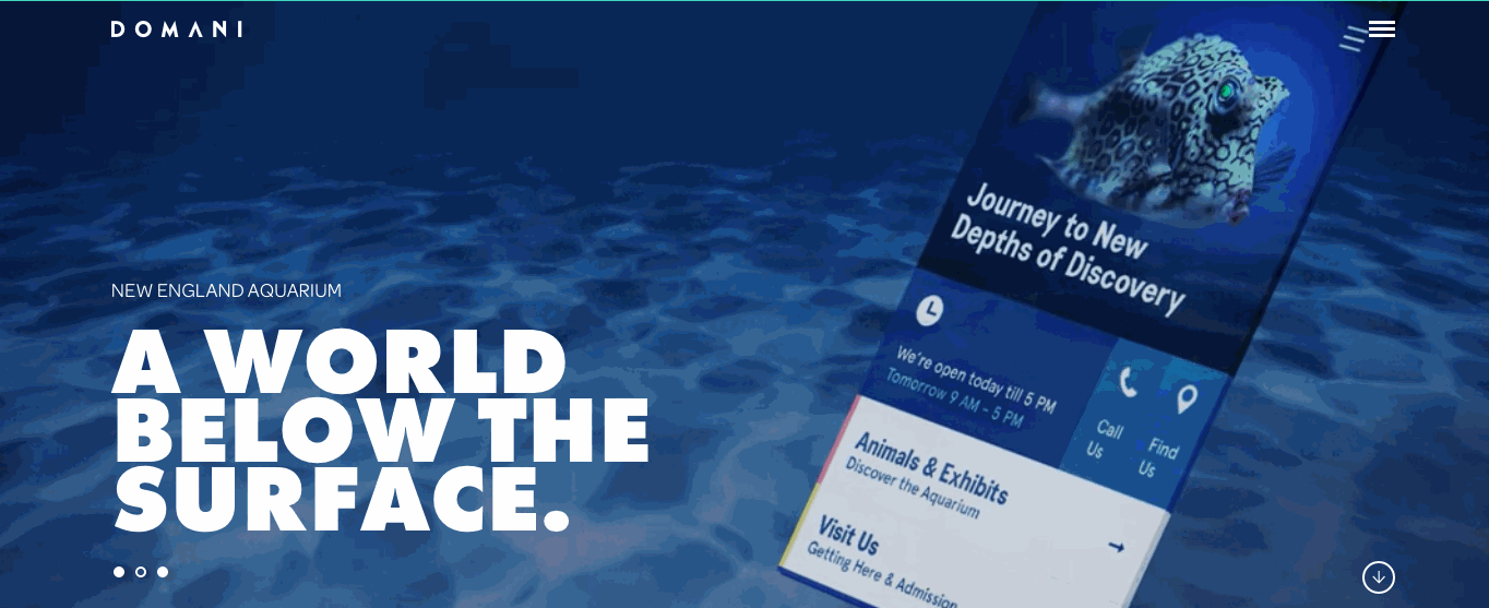 Domani is a digital agency specializing in strategy, marketing, and technology.