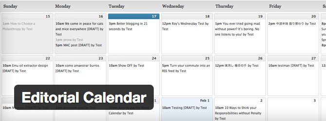 We use the Editorial Calendar plugin to organize the WPMU DEV Blog.