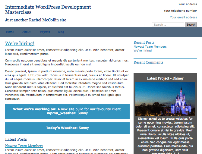 Post metadata displayed on the front end with more control