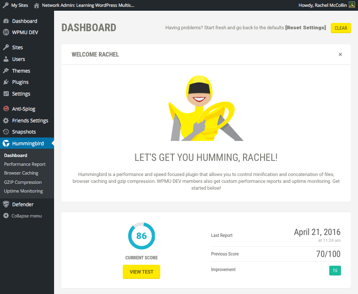 Hummingbird dashboard showing an improved score