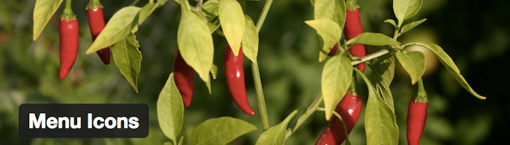 Menu Icons plugin