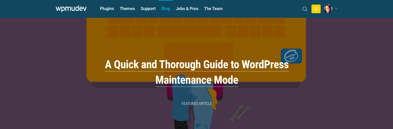 Featured articles are now displayed prominently on our homepage.