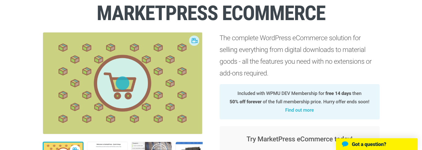 If you've got marketing skills, a plugin like MarketPress could help you sell online