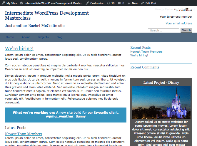 Post metadata from the metabox on the front end of the site