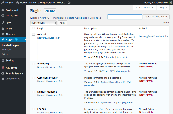 The Plugins screen with Multisite enhancements switched on